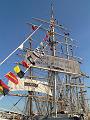 04 08 07 The_Tall_Ships_Races_Szczecin_19